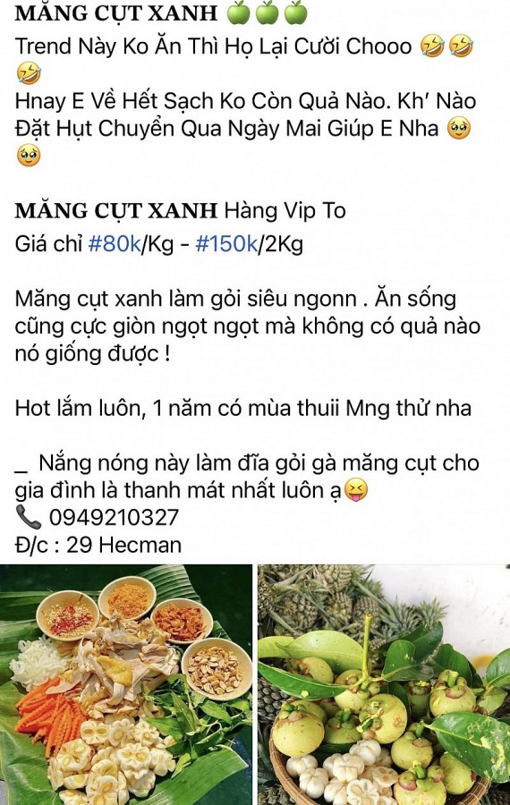 Măng cụt xanh đội giá hơn nửa triệu đồng/kg nhờ ‘bắt trend’ món gỏi gà măng cụt