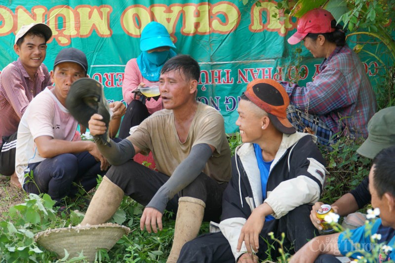 Đà Nẵng: Được mùa, những cánh đồng dưa hấu nhộn nhịp bán mua Đà Nẵng: Được mùa, những cánh đồng dưa hấu nhộn nhịp bán mua