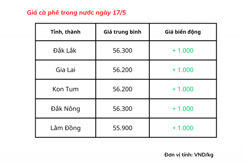 Giá cà phê hôm nay, 17/5: Giá cà phê trong nước chạm mốc 56.300 đồng/kg