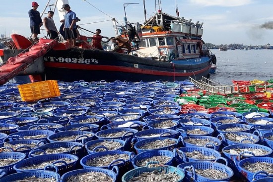 ec lui thoi han kiem tra the vang iuu tai viet nam