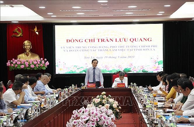 Phó Thủ tướng Chính phủ Trần Lưu Quang phát biểu tại buổi làm việc.