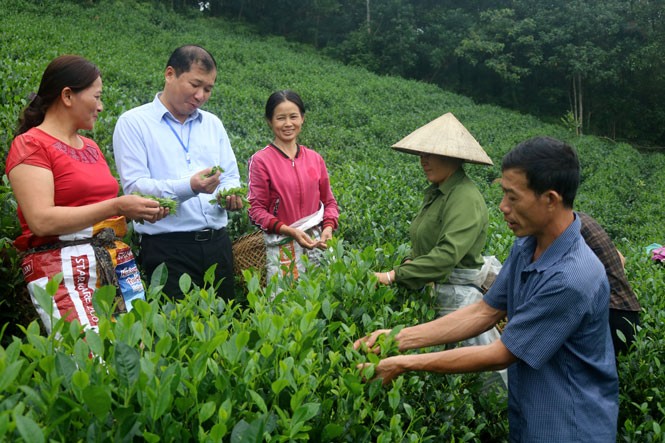 Thái Nguyên: Giảm 10.000 hộ nghèo nhờ các chính sách hỗ trợ người nghèo phát triển kinh tế