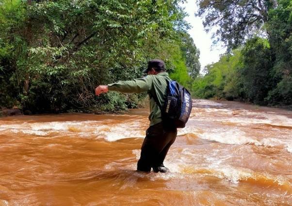 Đắk Nông: Lâm tặc rải đinh, dùng “bom xăng” đối phó với cán bộ giữ rừng