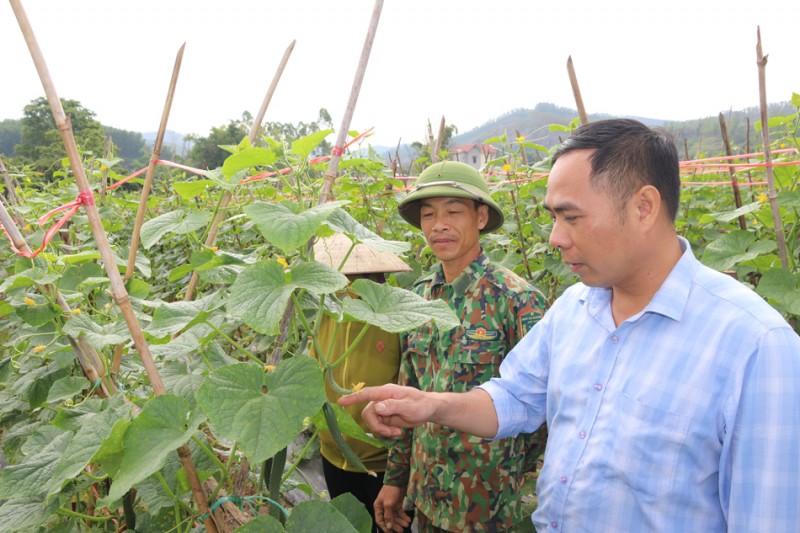 Sản xuất theo chuỗi giá trị: Mô hình cần được nhân rộng