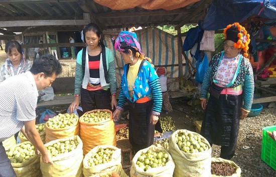 giam ngheo da chieu con nhieu thach thuc