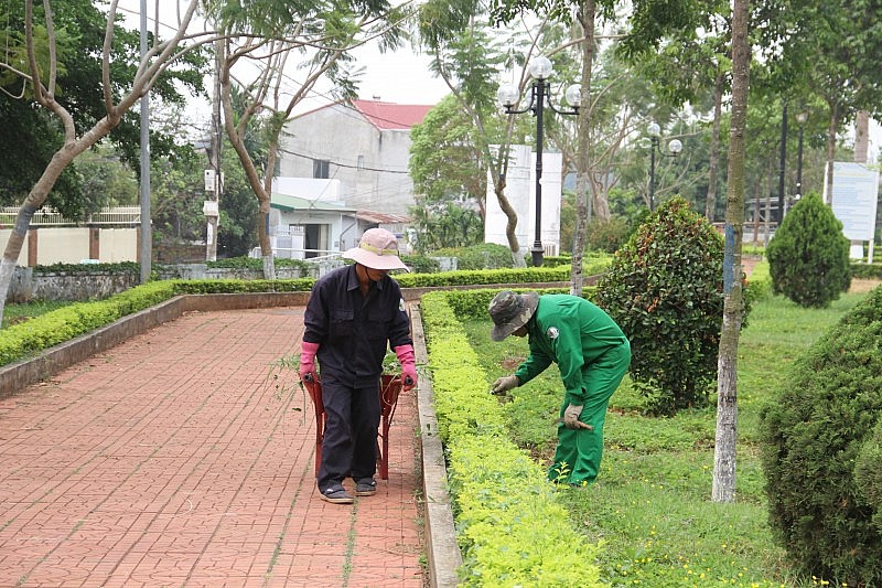 Công nhân đang chăm sóc cây xanh tại công viên Sơn La