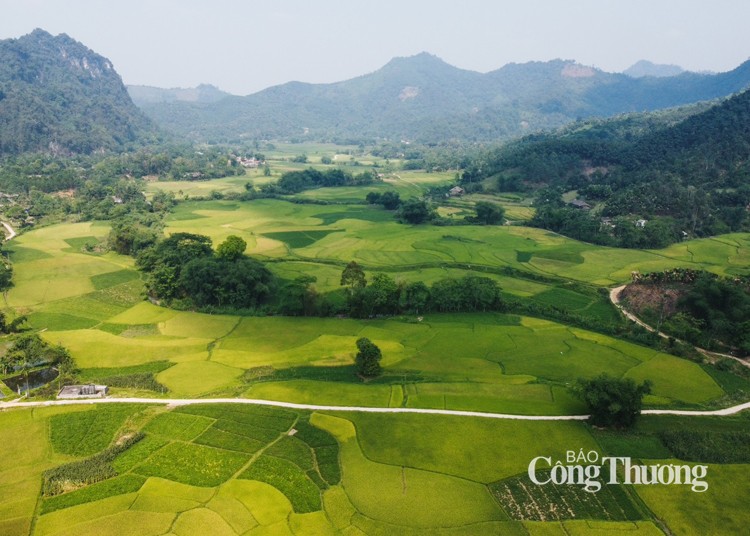 Mục sở thị những nhũ đá độc lạ hang Bó Mỳ Hà Giang