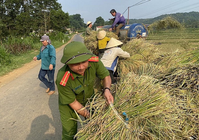 Hình ảnh đẹp về Công an Thanh Hóa đội nắng xuống đồng giúp dân thu hoạch lúa