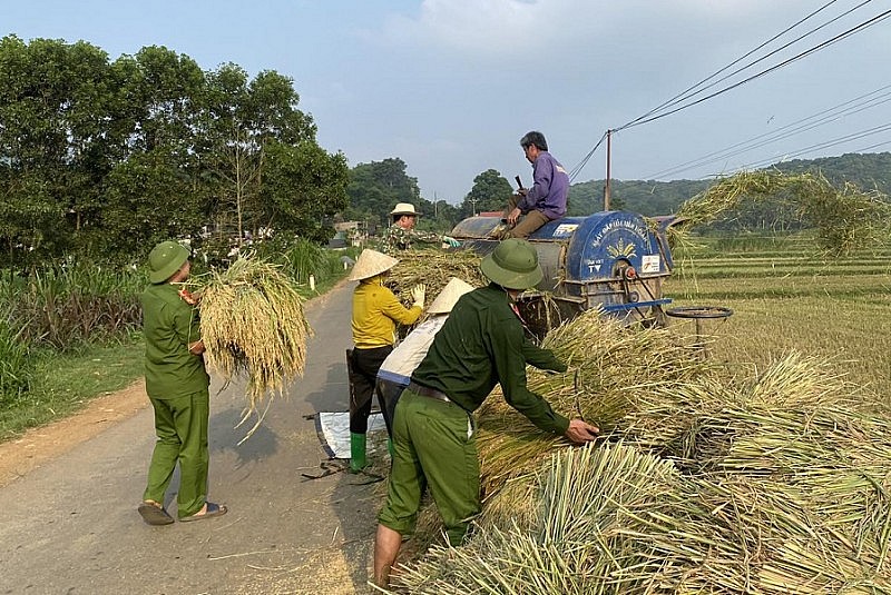 Hình ảnh đẹp về Công an Thanh Hóa đội nắng xuống đồng giúp dân thu hoạch lúa