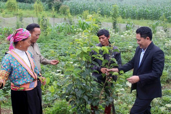 Lai Châu: Người dân thay đổi sinh kế, vươn lên thoát nghèo nhờ chương trình đào tạo nghề