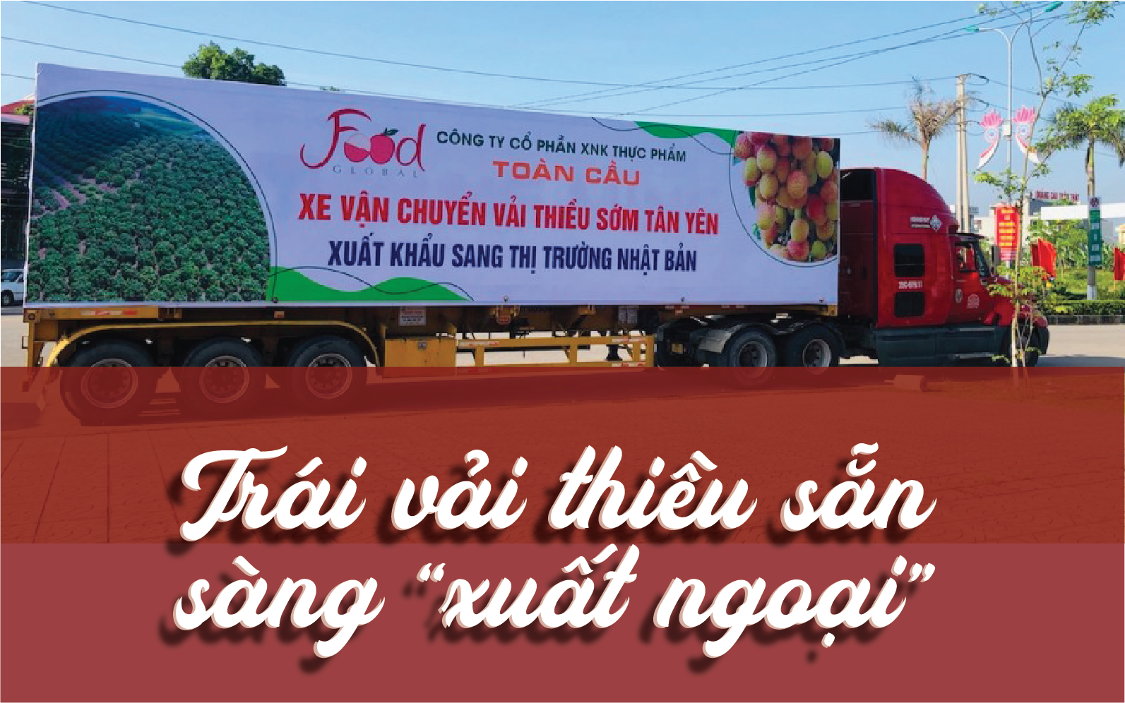 Trái vải thiều sẵn sàng “xuất ngoại”