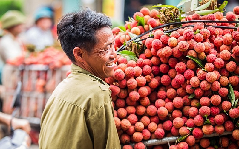 “Chắp cánh” cho quả vải, nhãn vươn ra thị trường quốc tế