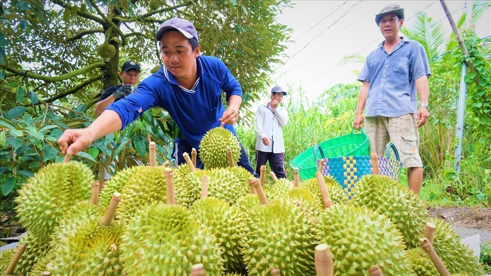 Việt Nam phấn đấu mang về 395 tỉ USD nhờ xuất nhập khẩu khởi sắc