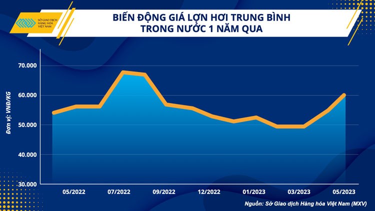 Giá nguyên liệu thức ăn chăn nuôi sẽ duy trì xu hướng giảm nửa cuối năm 2023