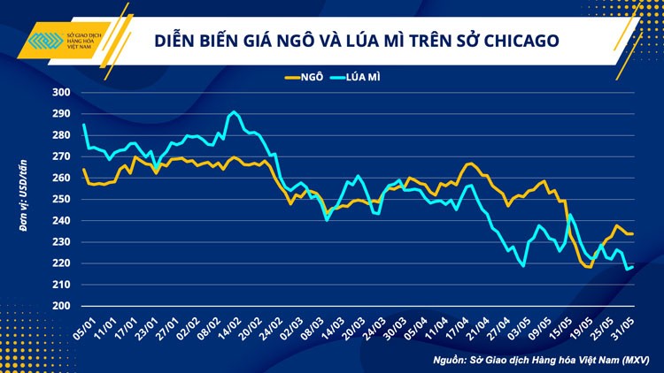 Giá nguyên liệu thức ăn chăn nuôi sẽ duy trì xu hướng giảm nửa cuối năm 2023