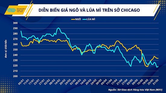 gia nguyen lieu thuc an chan nuoi se duy tri xu huong giam nua cuoi nam 2023