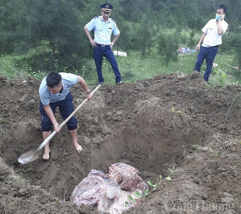 Quản lý thị trường Nghệ An liên tiếp thu giữ thực phẩm không rõ nguồn gốc