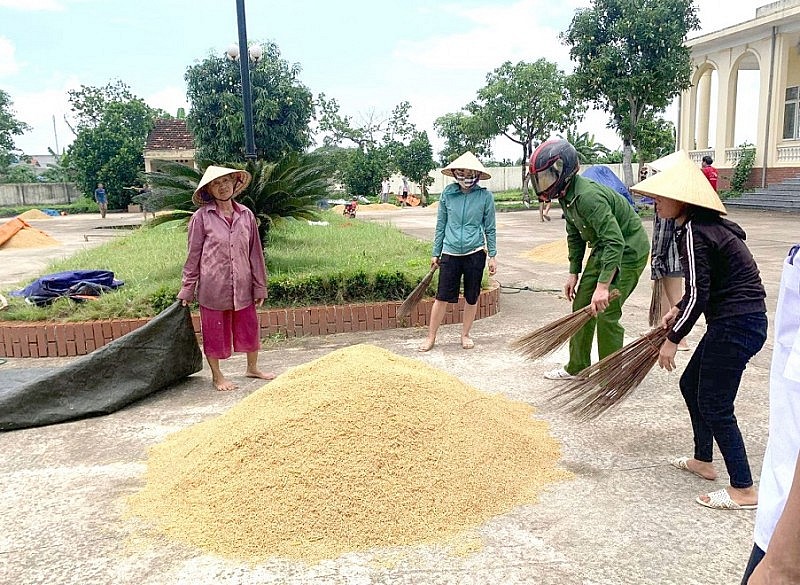 Lực lượng Công an xã Yên Khương giúp dân gặt lúa: Hình ảnh đẹp về sự gắn bó quân dân