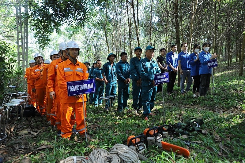 Công ty Điện lực Thanh Hóa ra quân giải phóng hành lang an toàn lưới điện năm 2023