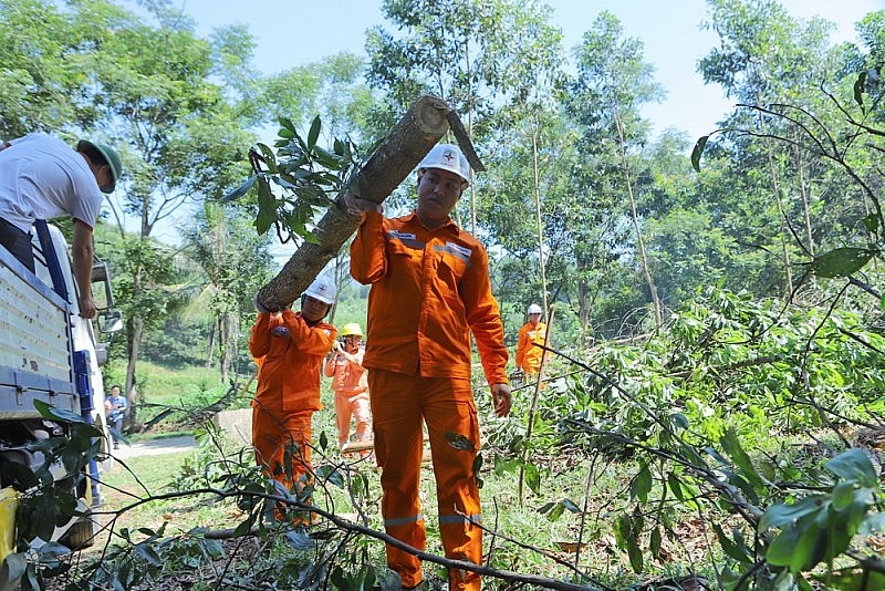 Công ty Điện lực Thanh Hóa ra quân giải phóng hành lang an toàn lưới điện năm 2023