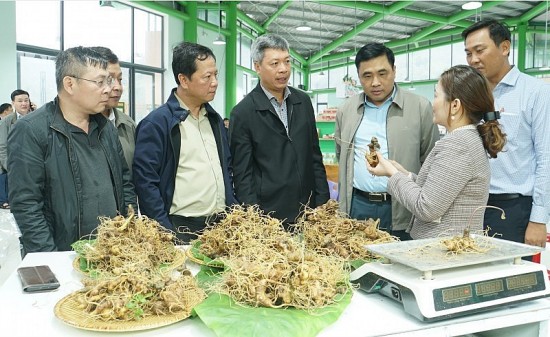 phe duyet chuong trinh phat trien sam viet nam den nam 2030 dinh huong den nam 2045