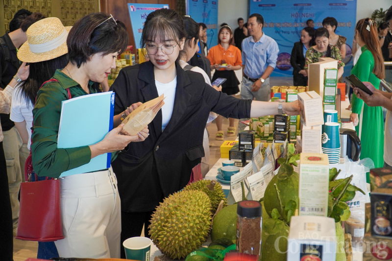 Đa dạng các sản phẩm có tiềm năng xuất khẩu của vùng Nam Trung Bộ Đa dạng các sản phẩm vùng Nam Trung bộ