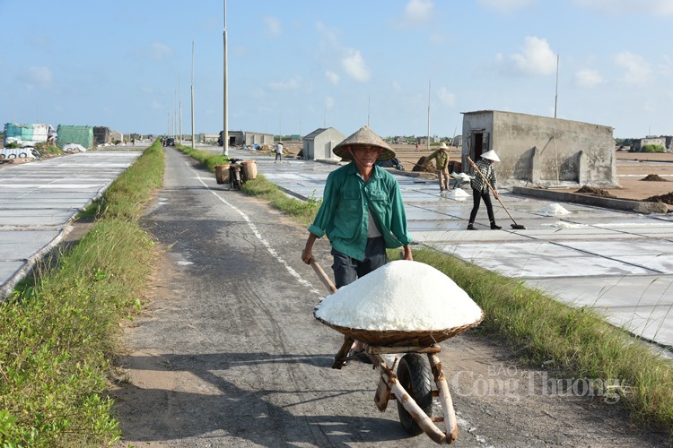 Được mùa nhưng diêm dân cánh đồng muối Bạch Long không vui