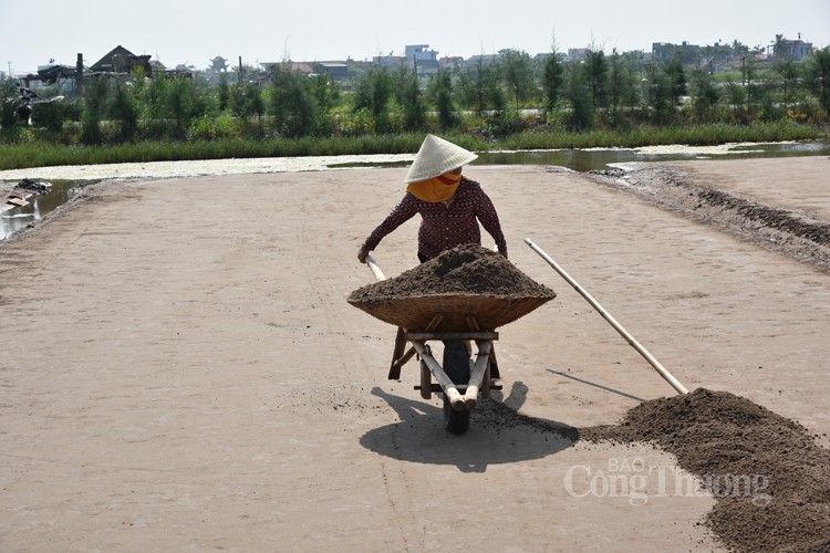 Được mùa nhưng diêm dân cánh đồng muối Bạch Long không vui