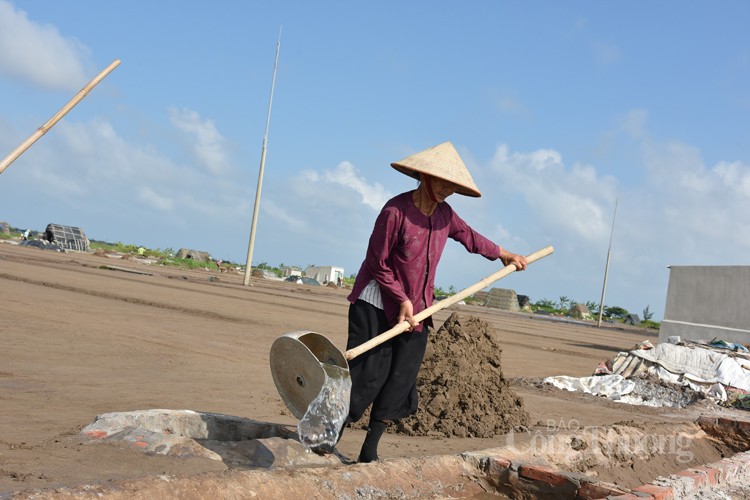 Được mùa nhưng diêm dân cánh đồng muối Bạch Long không vui