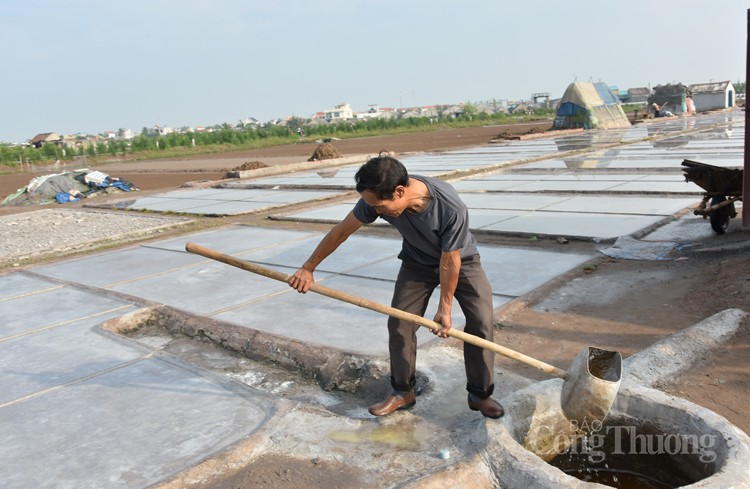 Được mùa nhưng diêm dân cánh đồng muối Bạch Long không vui