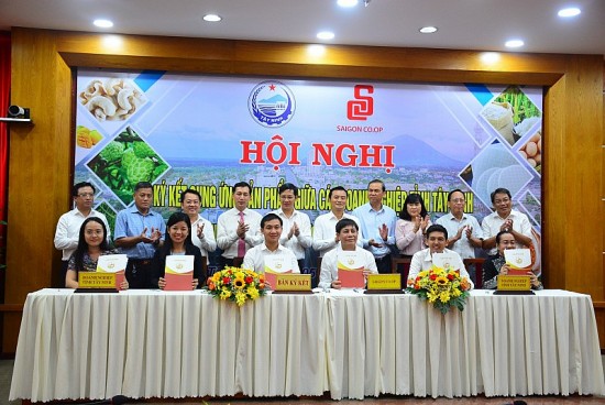 ket noi cac san pham ocop tinh tay ninh vao he thong phan phoi cua saigon coop