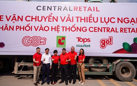 Đưa vải thiều Bắc Giang vào Hệ thống phân phối của Central Retail