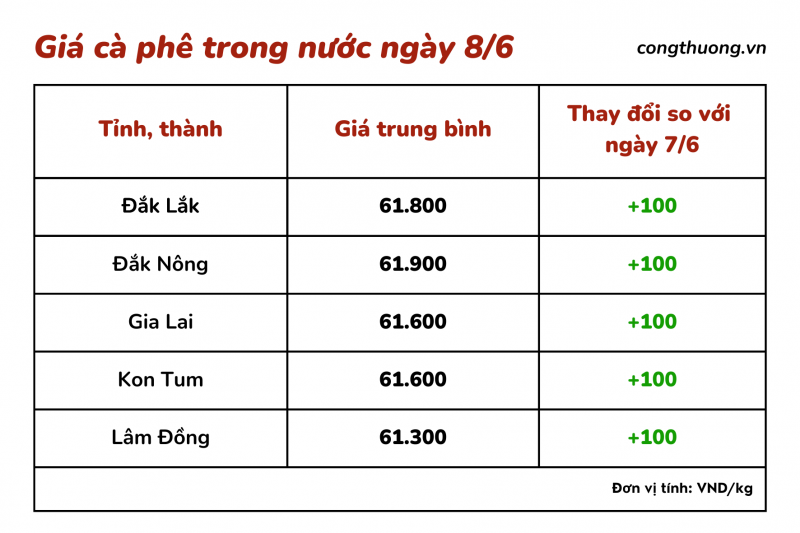 Giá cà phê hôm nay, ngày 8/6: Giá cà phê trong nước gần cán mốc 62.000 đồng/kg