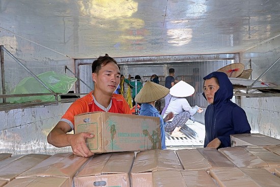 Hoà Bình: Thêm 18 tấn mía tươi xuất khẩu thành công sang Hoa Kỳ