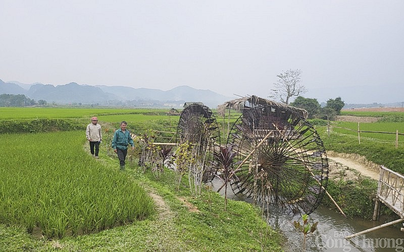 Những 