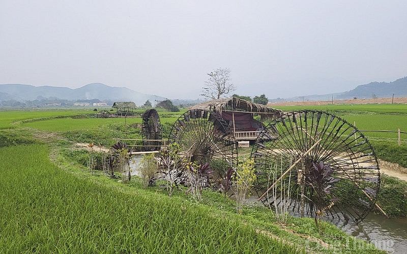 Những 