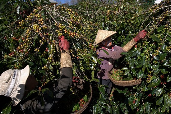 Thành lập, tổ chức và hoạt động của Quỹ Hỗ trợ nông dân