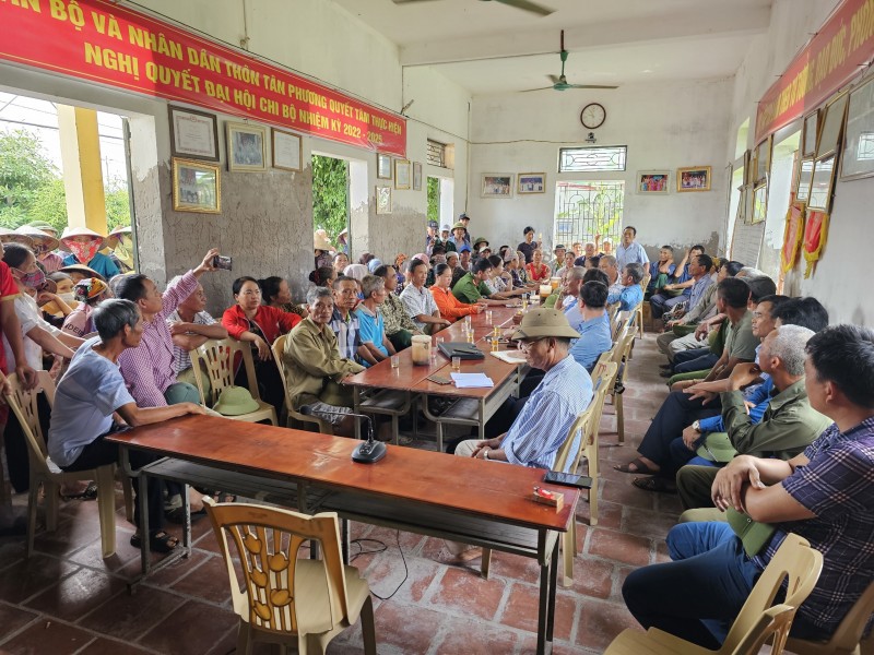 Thái Bình: Hơn trăm hec ta lúa chết hàng loạt nghi do nhiễm mặn cần sớm làm rõ nguyên nhân