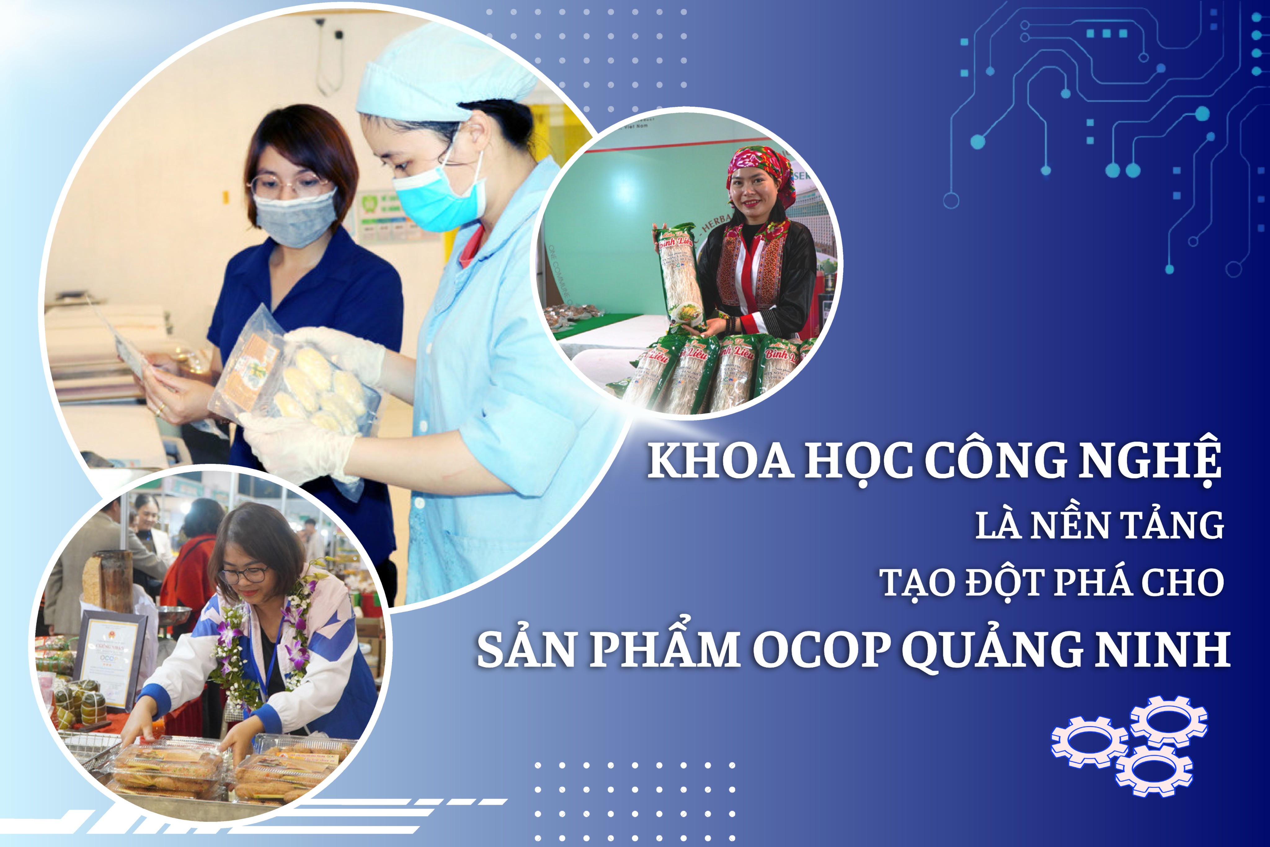 Khoa học công nghệ là nền tảng tạo đột phá cho sản phẩm OCOP Quảng Ninh