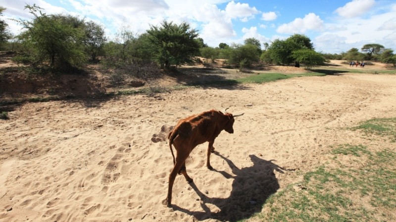 Hạn hán đang dẫn đến một cuộc khủng hoảng thủy điện ở Zimbabwe