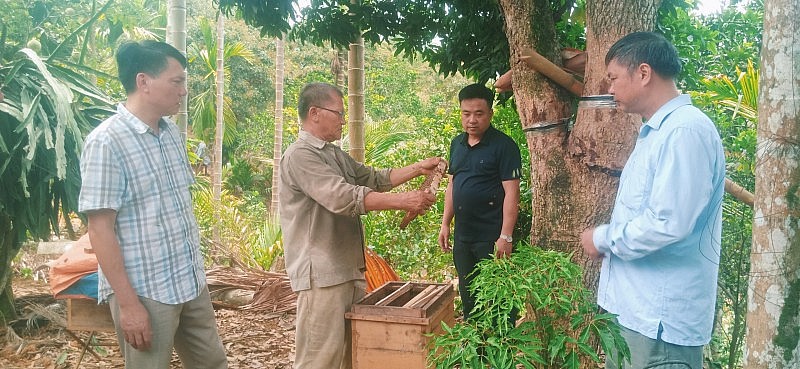 Làm giàu từ trồng cây ăn quả và nuôi ong lấy mật