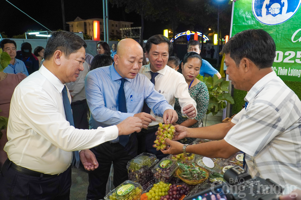 Doanh nghiệp sẵn sàng cho Lễ hội Nho - Vang Ninh Thuận 2023