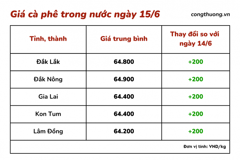 Giá cà phê hôm nay, ngày 15/6: Giá cà phê trong nước duy trì ở mức cao