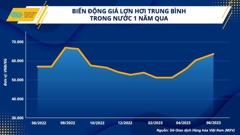 Giá heo hơi tăng mạnh, các doanh nghiệp chăn nuôi dần có lãi