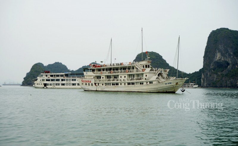 Quảng Ninh ưu tiên cấp điện cho du lịch, lượng khách tăng cao trở lại