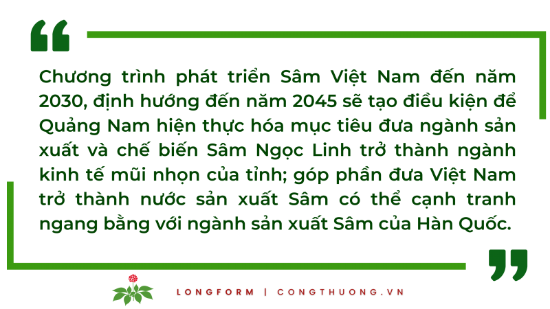 Longform | Quảng Nam: Tiếp thêm động lực đưa Sâm Ngọc Linh vươn ra thế giới