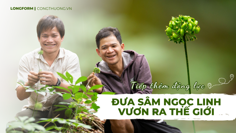 longform quang nam tiep them dong luc dua sam ngoc linh vuon ra the gioi