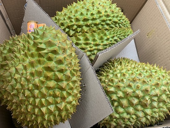 11 thang nam 2023 xuat khau sau rieng tang hon 480