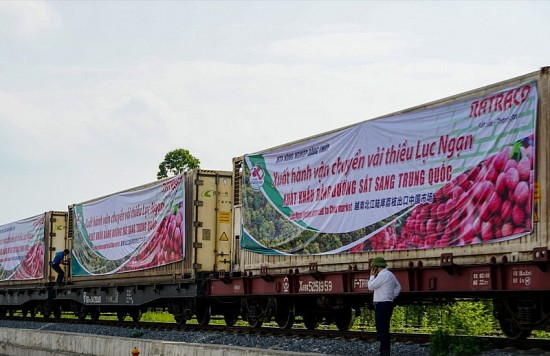 Liên tiếp tin vui xuất khẩu trái cây: Cơ hội mới cho nông sản Việt