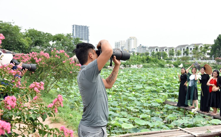 Thợ chụp ảnh thất thu vì sen Hồ Tây mất mùa